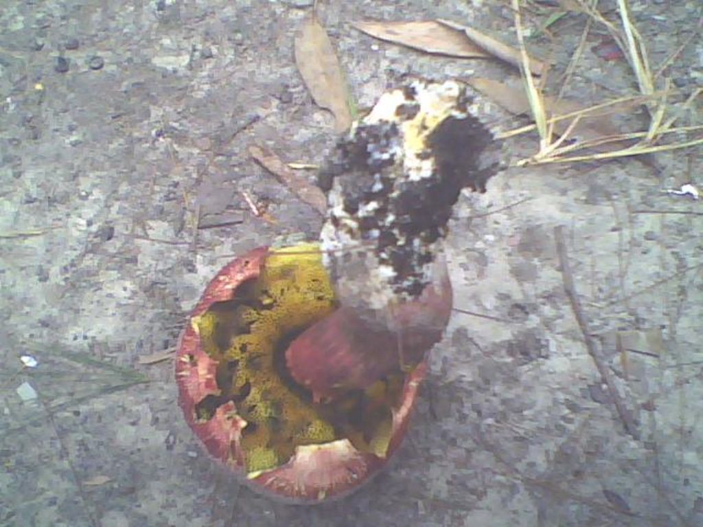 Boleto da DETERMINARE.